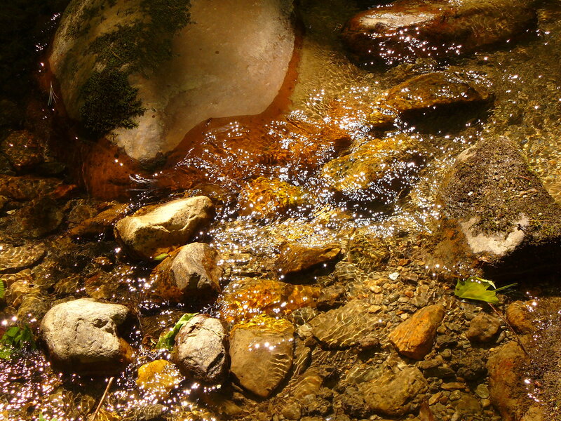 Clear Stream Water — Brown, Serene