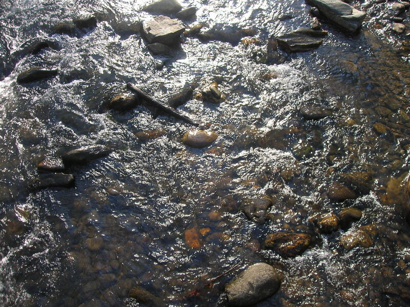 Clear Stream Water — Brown