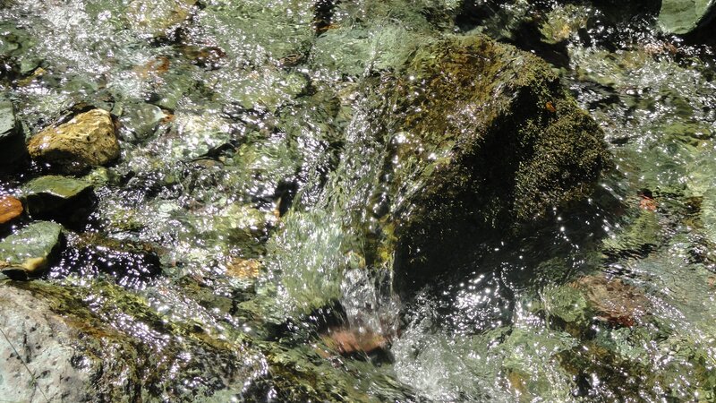 Clear Stream Water — Green, Calm