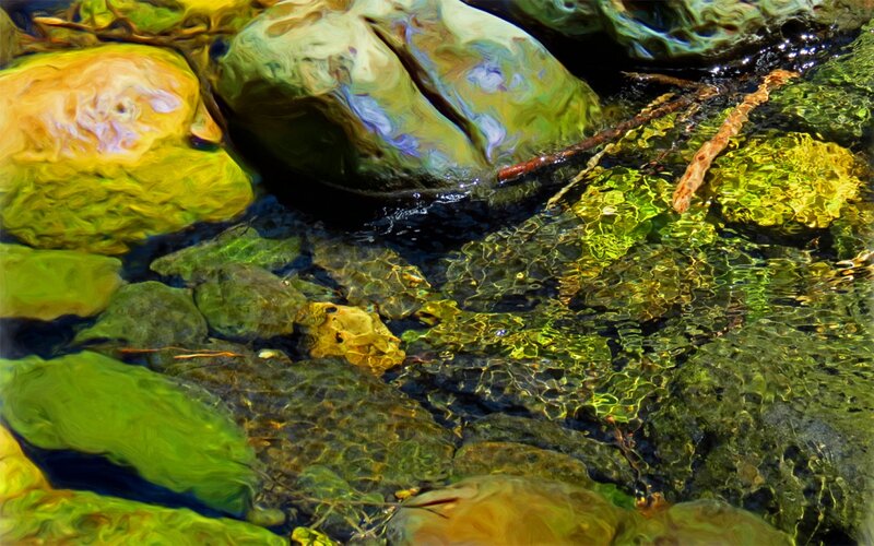 Clear Stream Water — Green, Serene