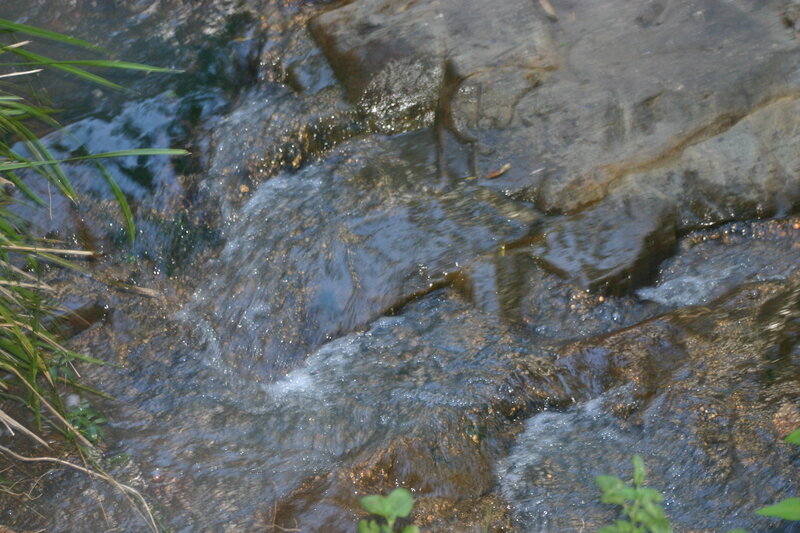 Clear Stream Water