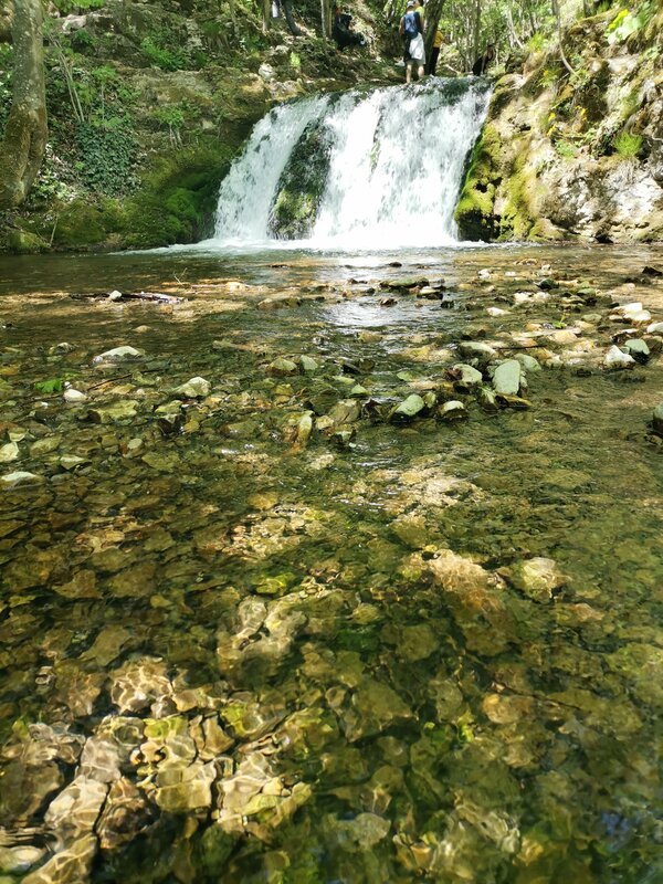 Clear Stream Waterfall — Green, Serene