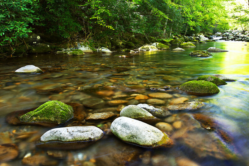 Clear Stream with Mossy Rocks — Green