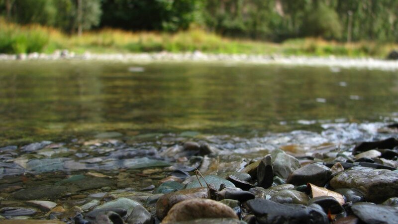 Clear stream with pebbles