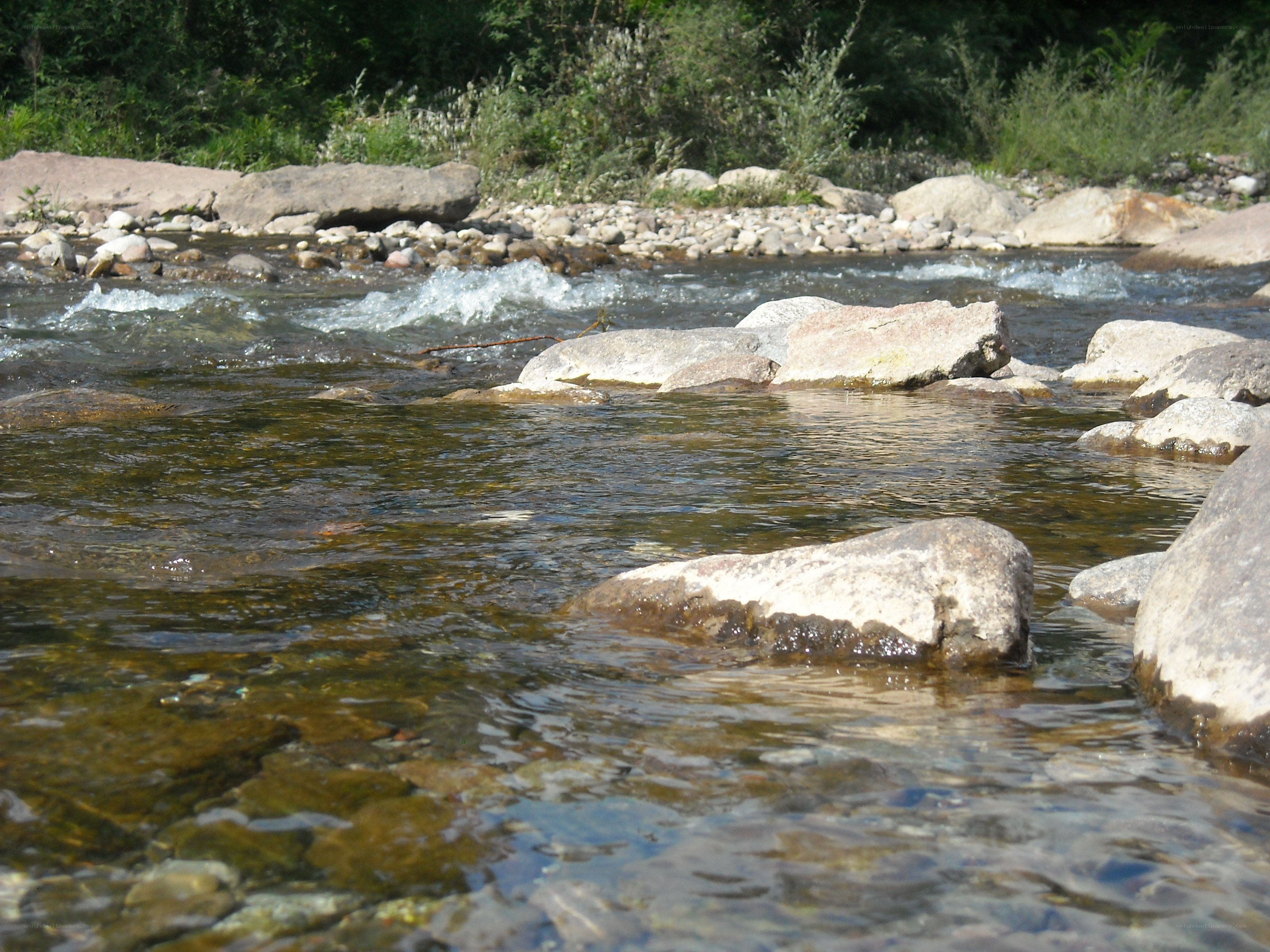 Clear stream with rocks