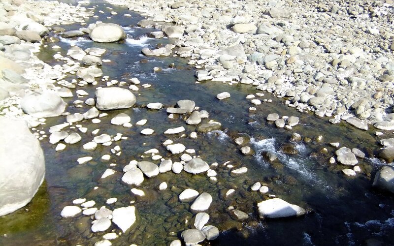 Clear Stream with Rocks — Gray