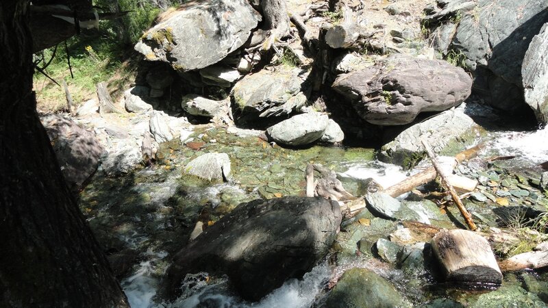 Clear Stream with Rocks — Green, Natural, Afternoon