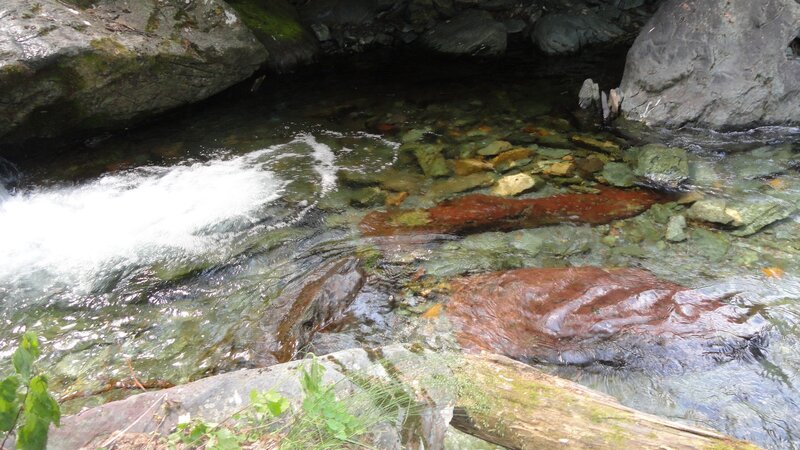Clear Stream with Rocks — Green, Natural