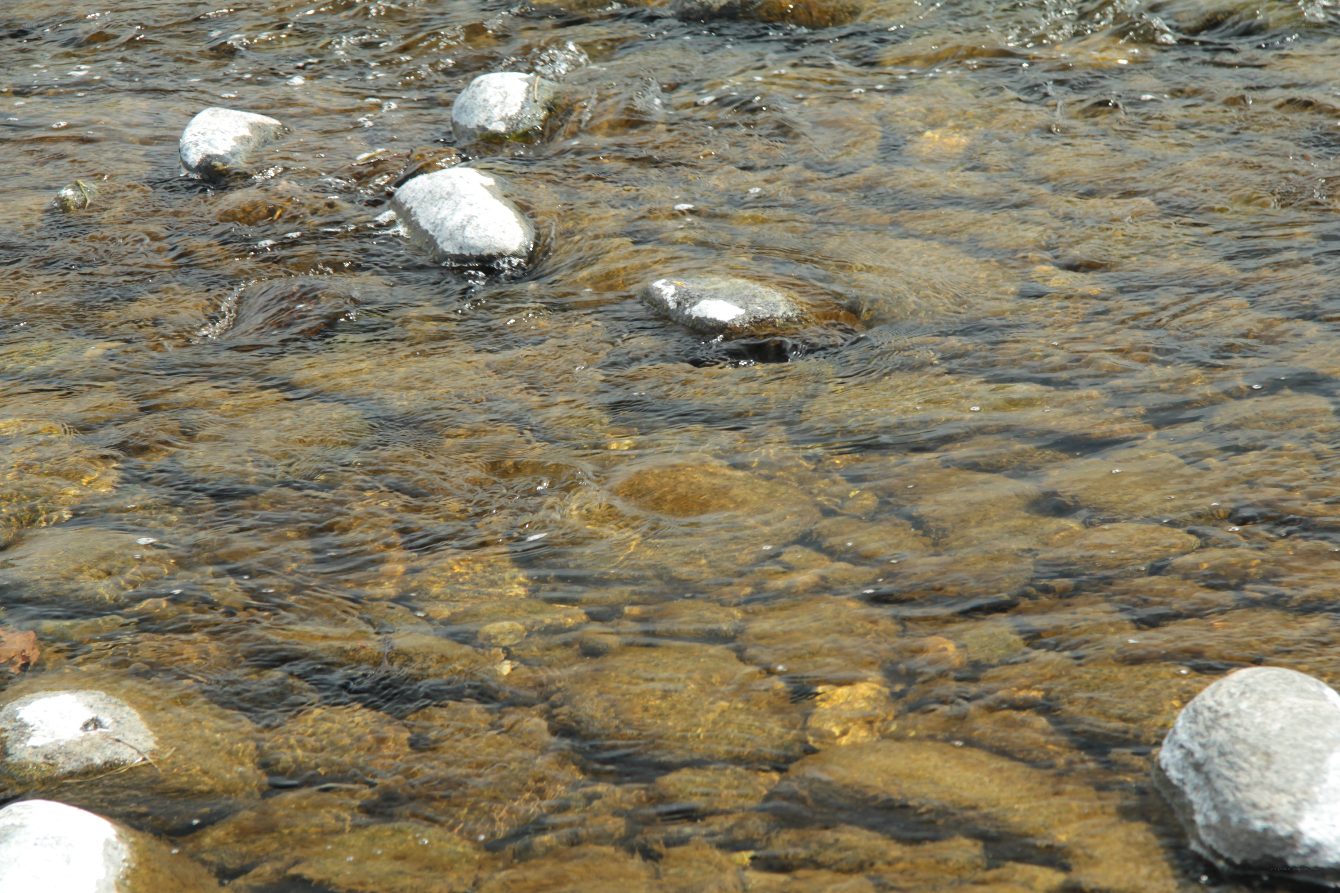 Clear stream with rocks