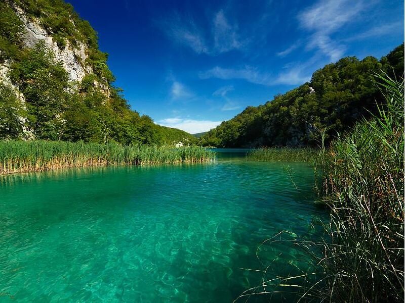 Clear turquoise lake in a forested valley