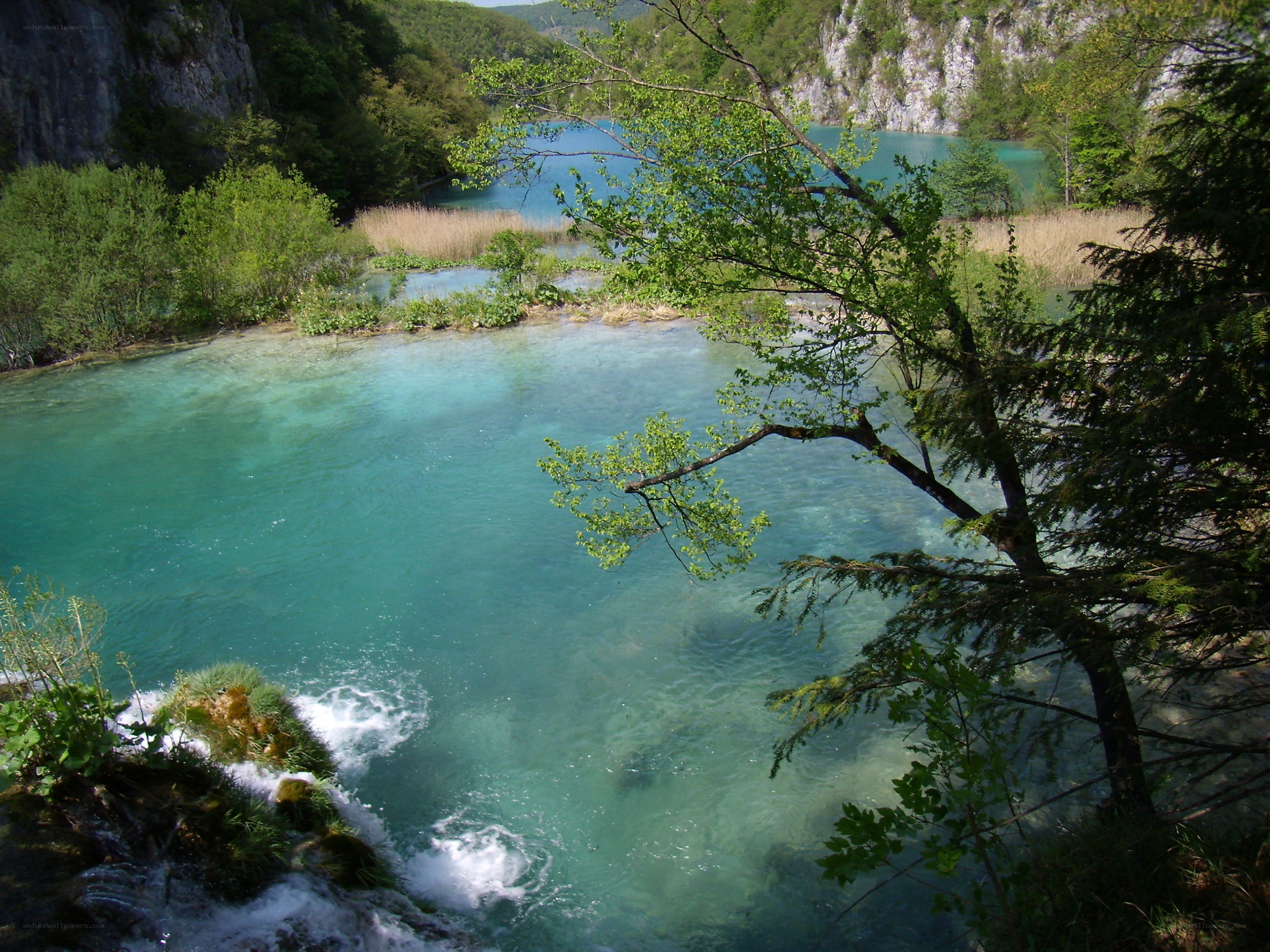 Clear turquoise lake in forest