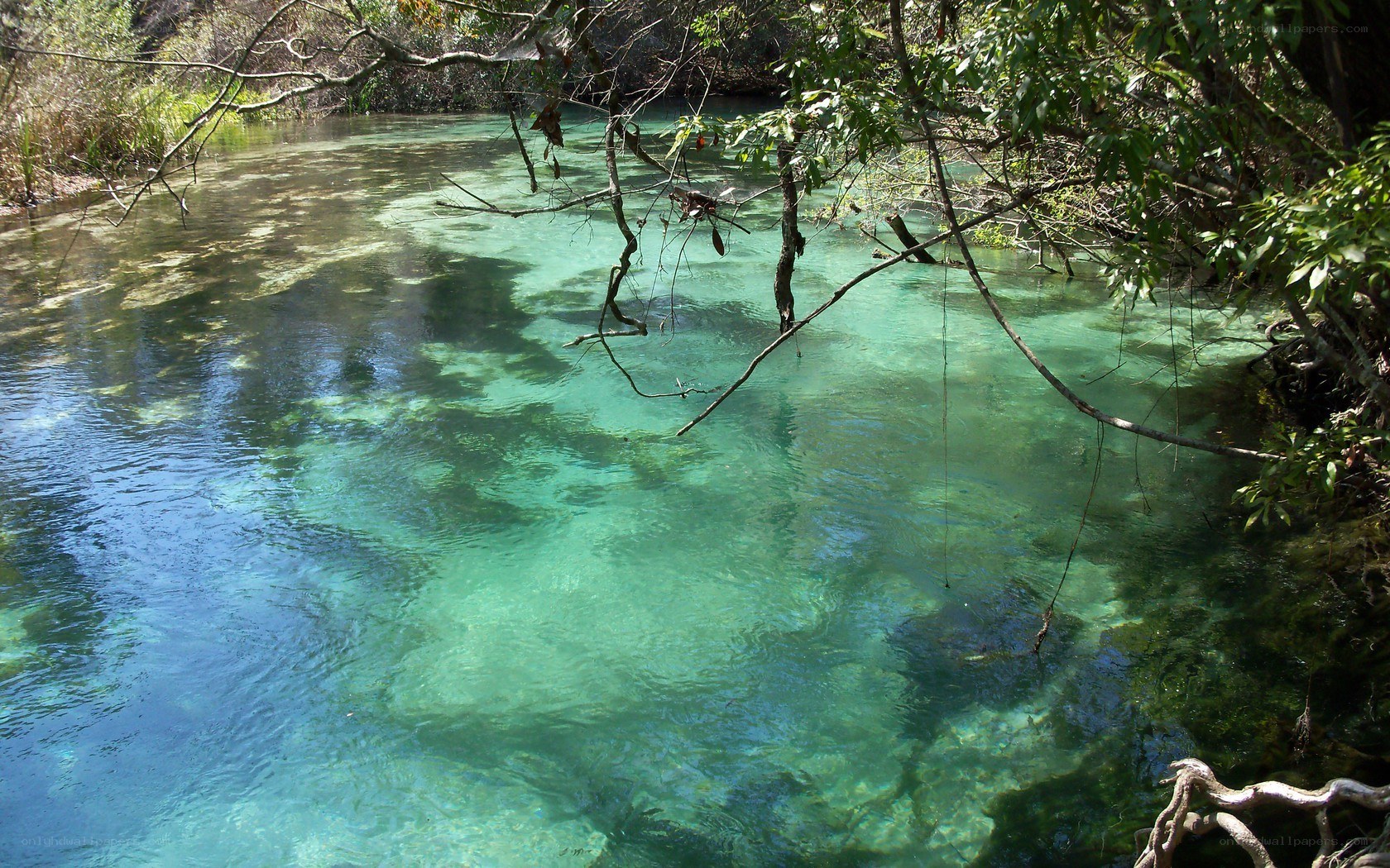 Clear turquoise spring water