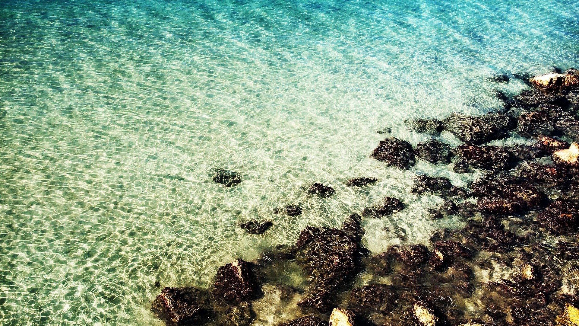 Clear water and rocks at shore