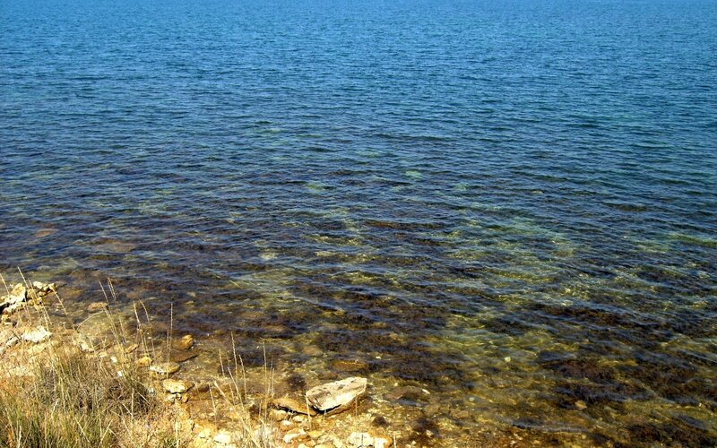Clear water at the shoreline