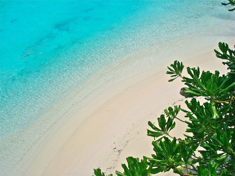 Clear Water Beach — Blue, Serene