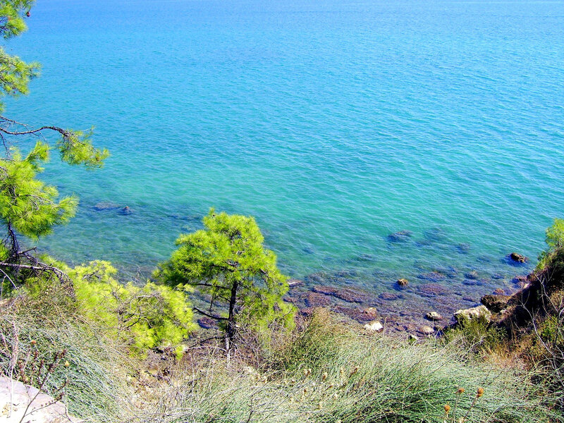 Clear Water Coastline