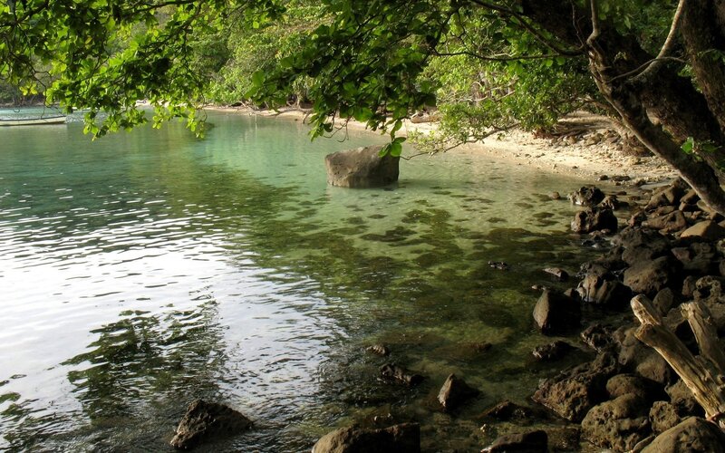 Clear Water Cove — Green, Serene