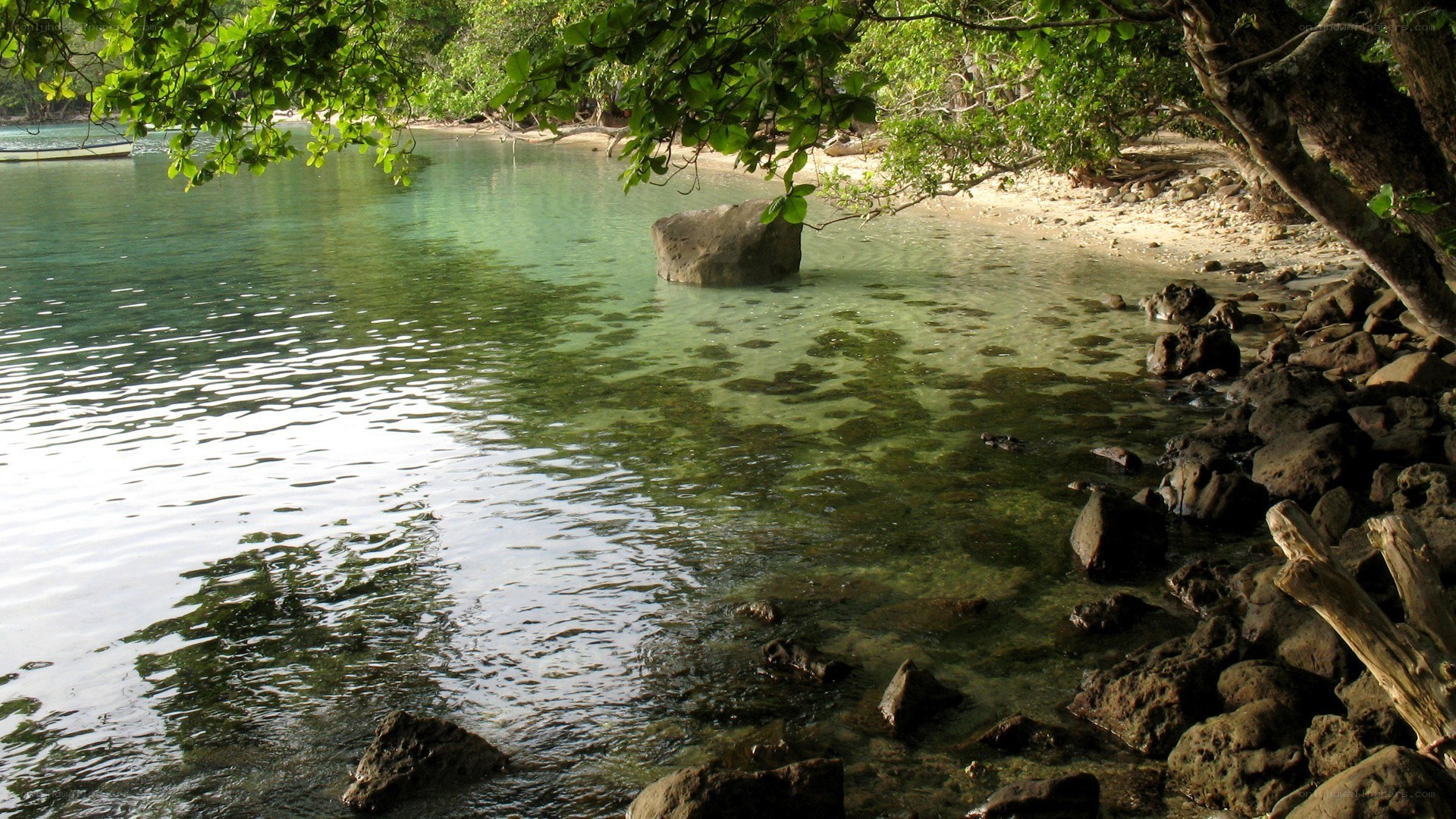 Clear water cove with rocks