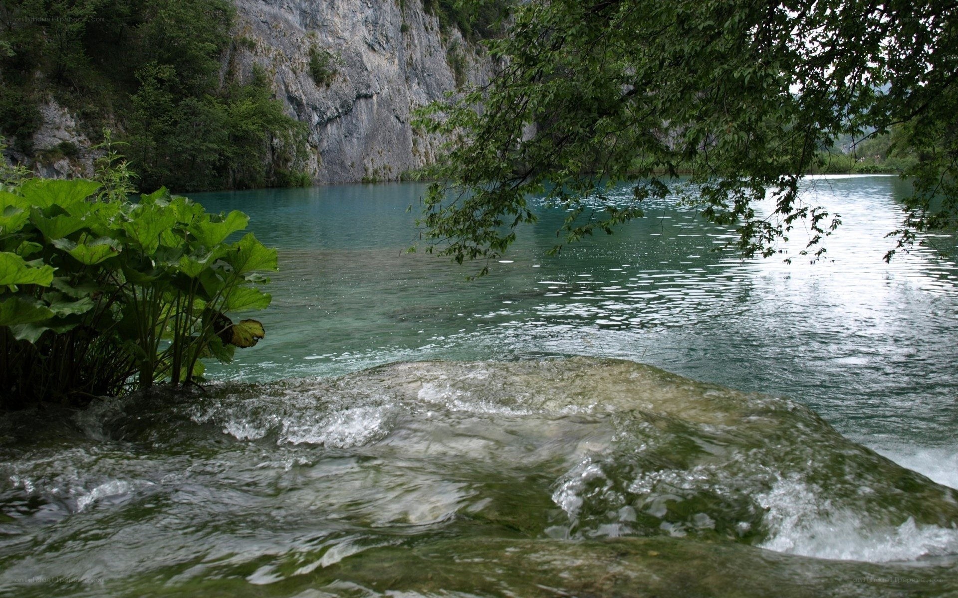 Clear water flowing over rocks