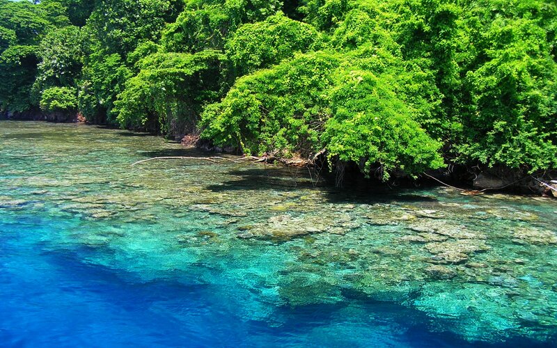 Clear Water Near Forest