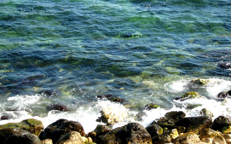 clear water on rocky shore