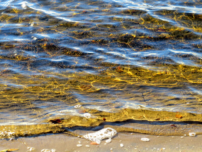 Clear Water on Sandy Shore