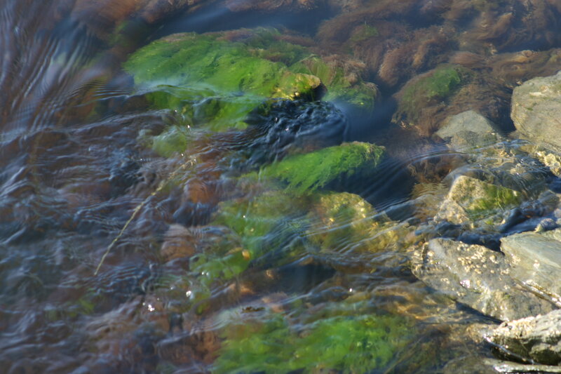 Clear water over mossy rocks