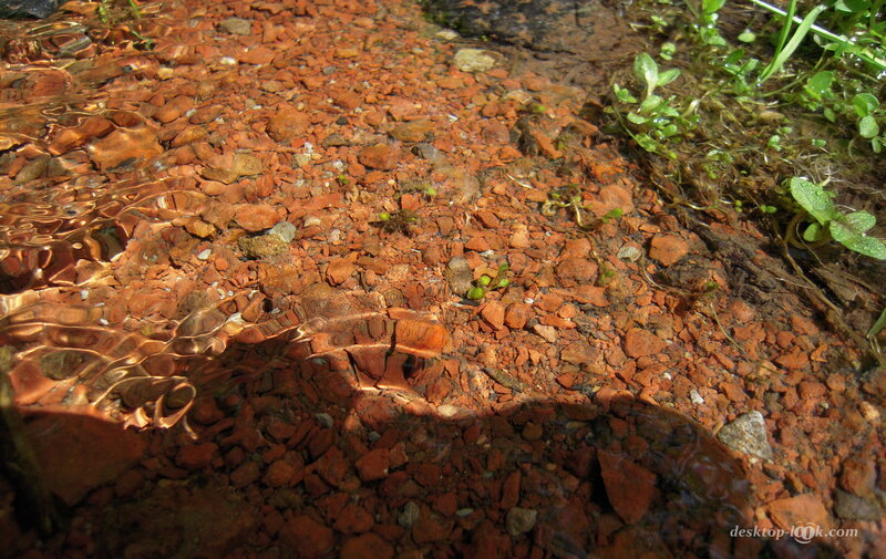 Clear Water over Pebbles — Brown
