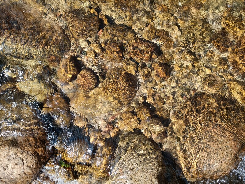 Clear Water over Rocks — Brown, Calm, Afternoon