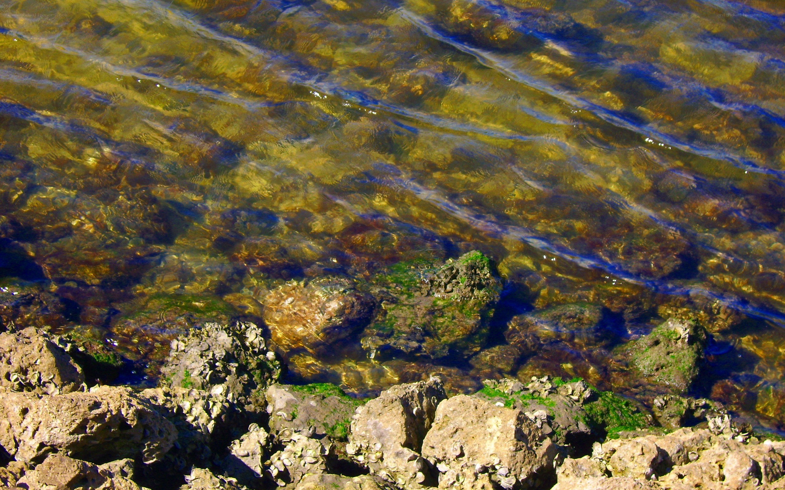 Clear water over rocky shore