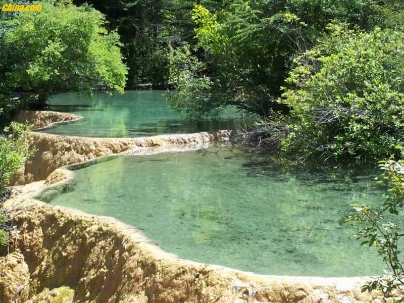Clear water pools in forest