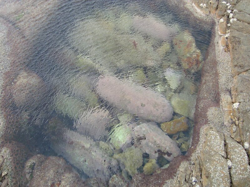 clear water rock pool