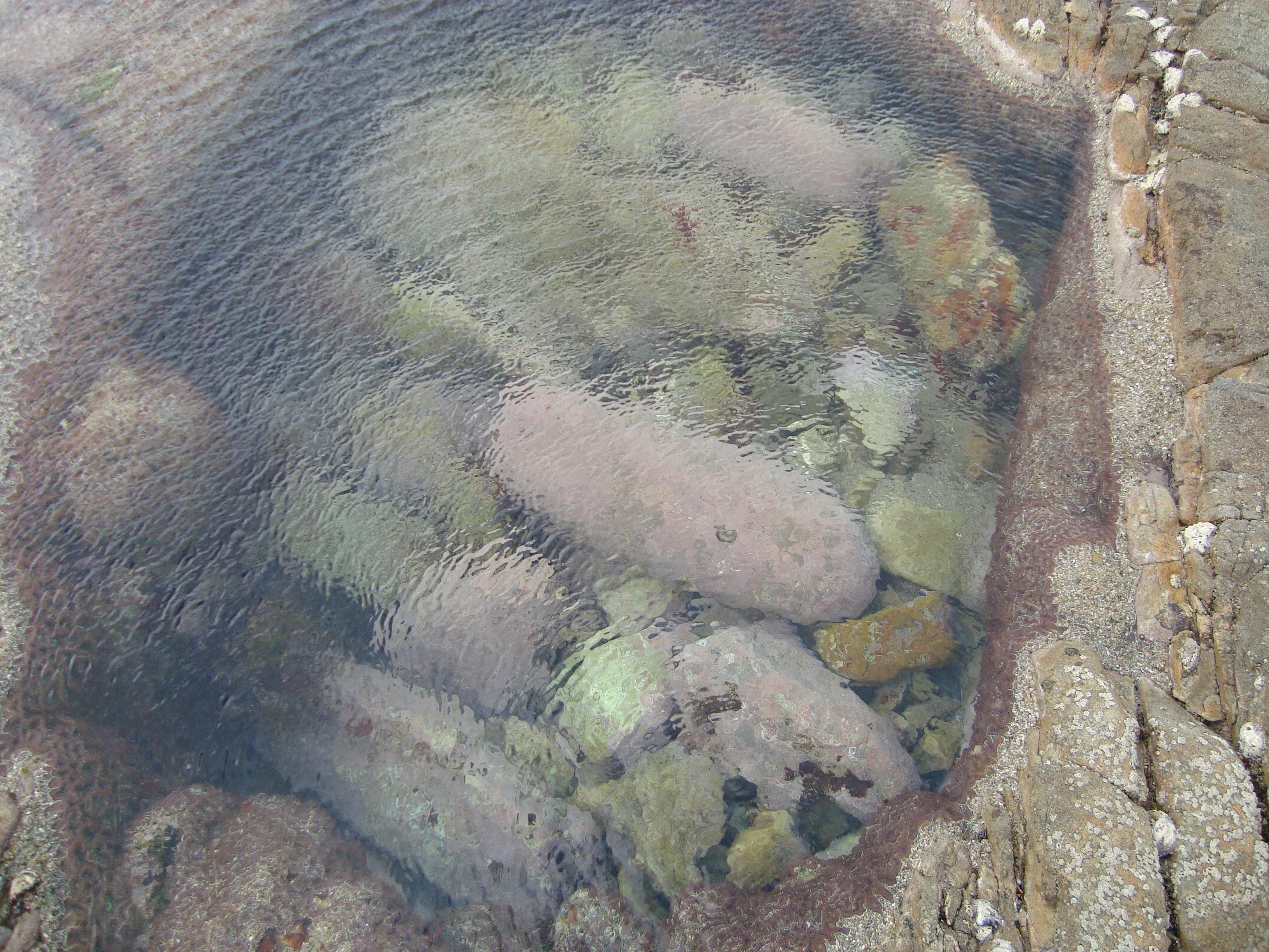 clear water rock pool