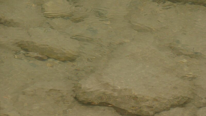 Clear Water Surface — Brown