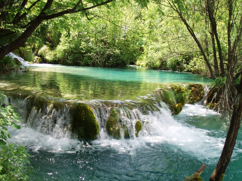 Clear Water Waterfall — Green, Serene, Afternoon, Photograph, Trees, Moss