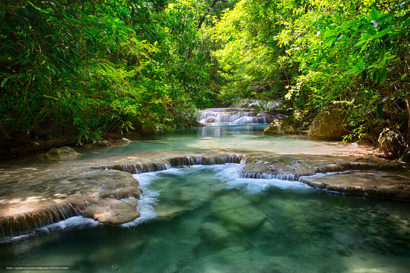 Clear Water Waterfall — Green, Serene, Afternoon