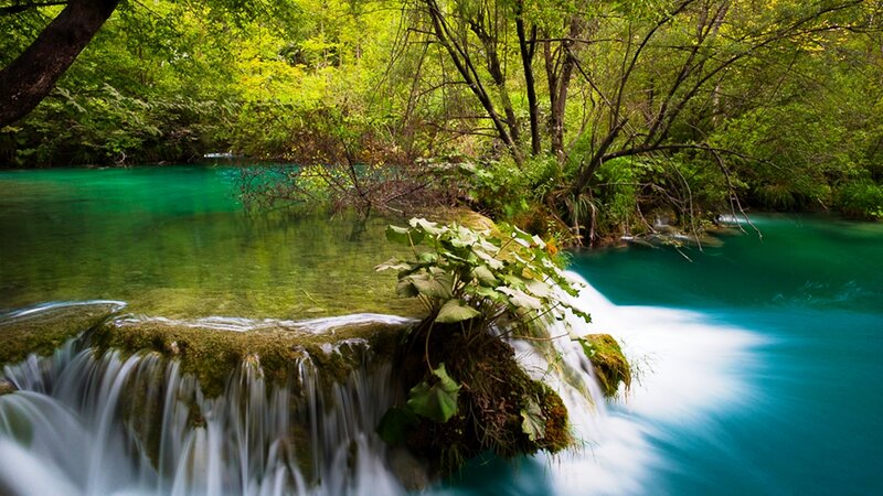 Clear Water Waterfall — Green, Serene