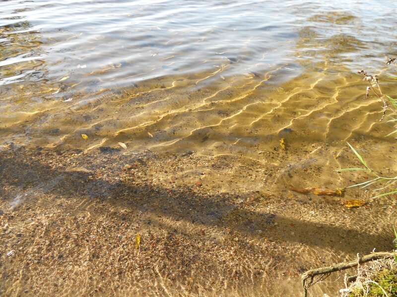Clear water with pebbles