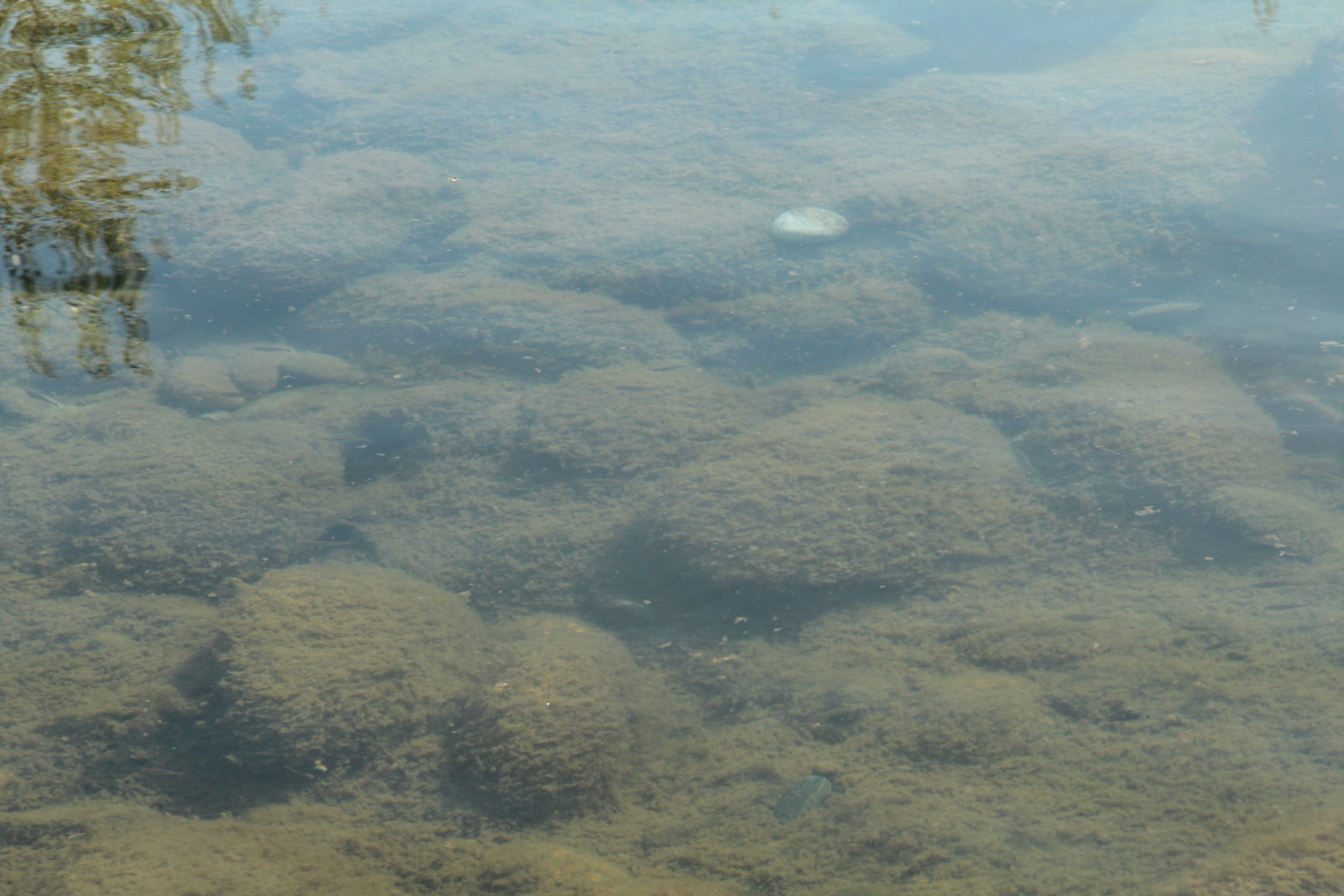 clear water with rocks