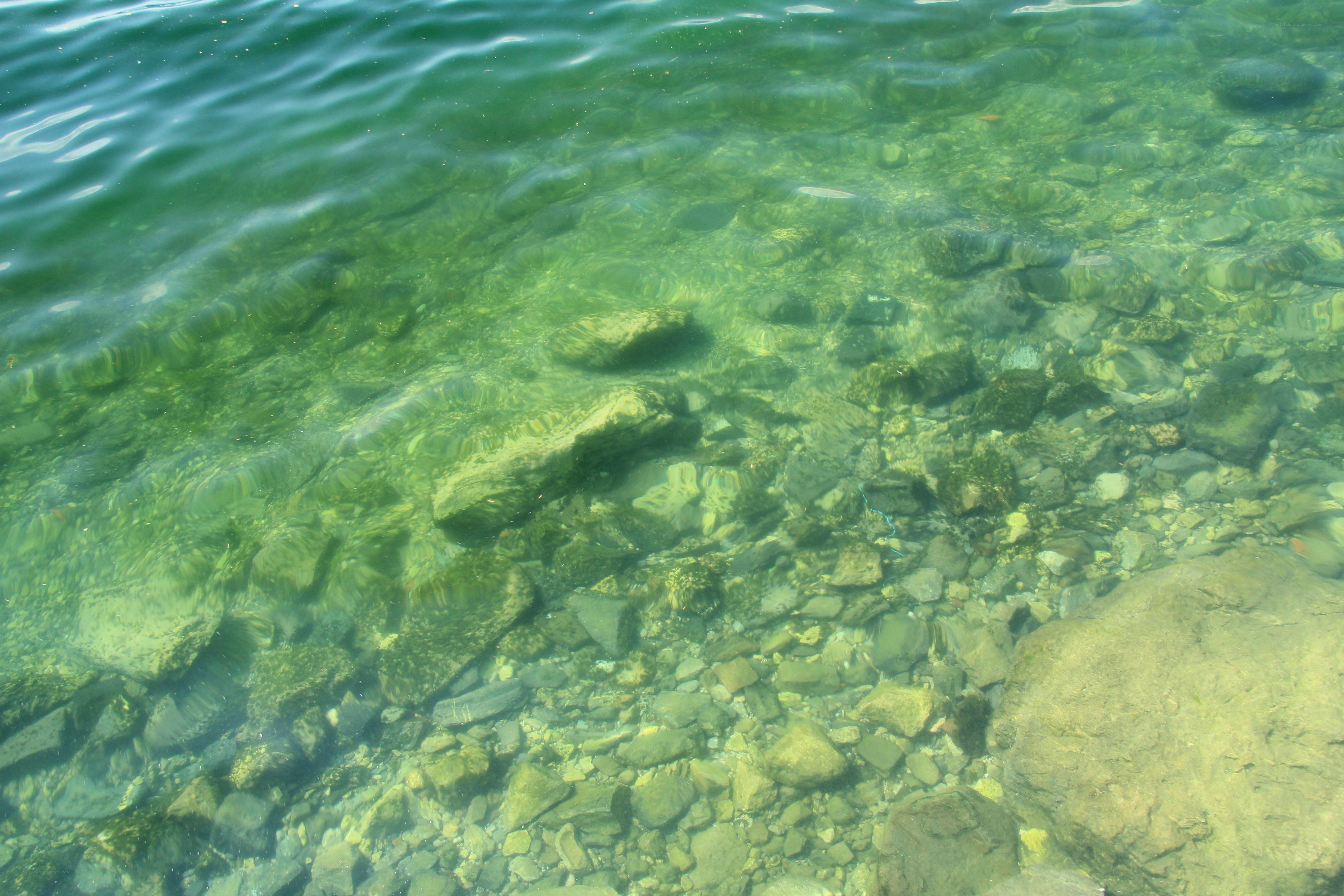 Clear water with rocks