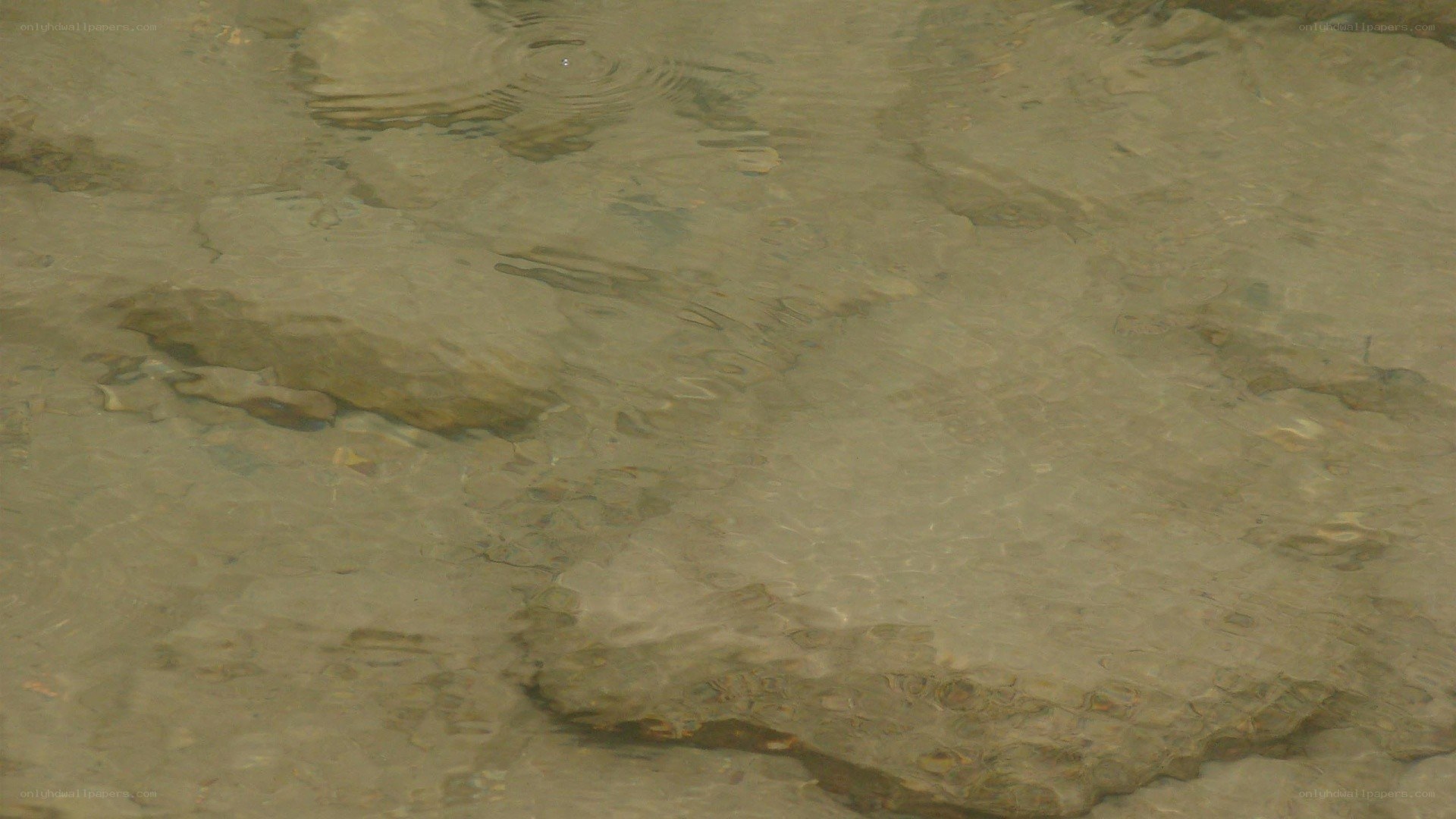 clear water with rocks
