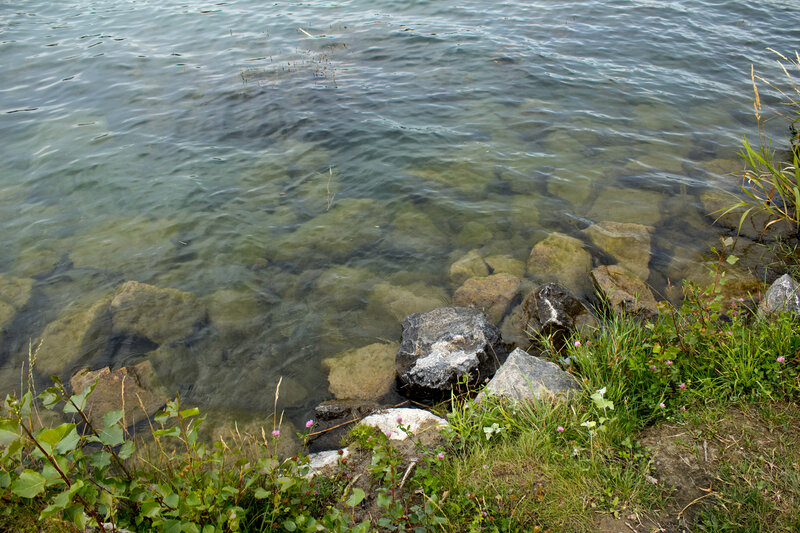 Clear water with rocks and grass