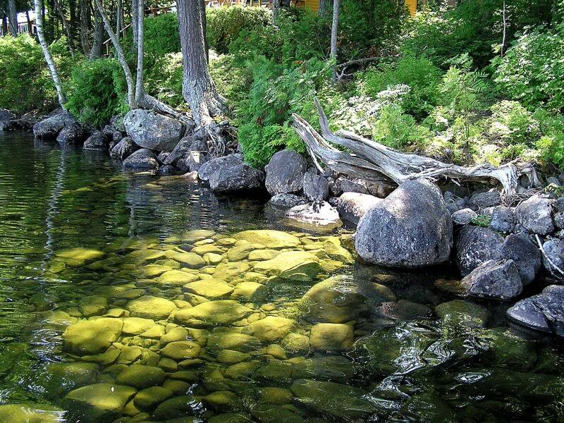 Clear Water with Rocks — Green