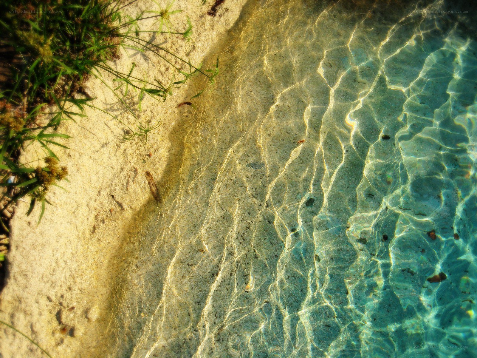Clear water with sandy shore