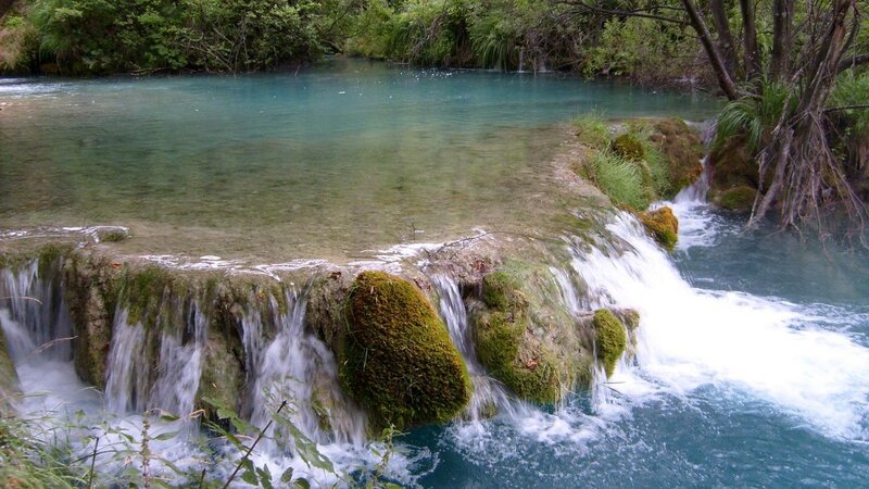 Clear waterfall in forest