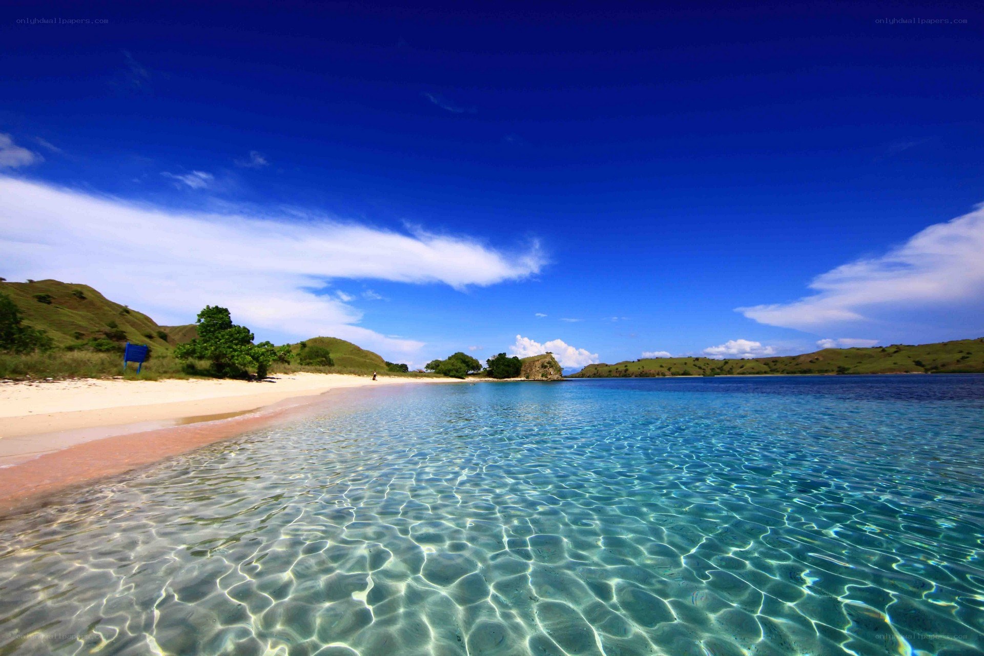 Clear waters at a tropical beach