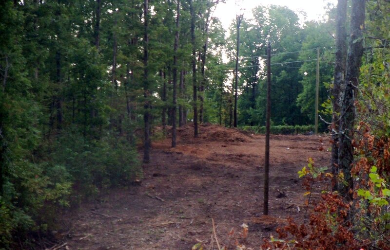 Cleared Forest Area