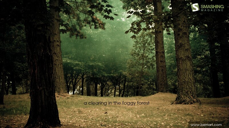 clearing in the foggy forest