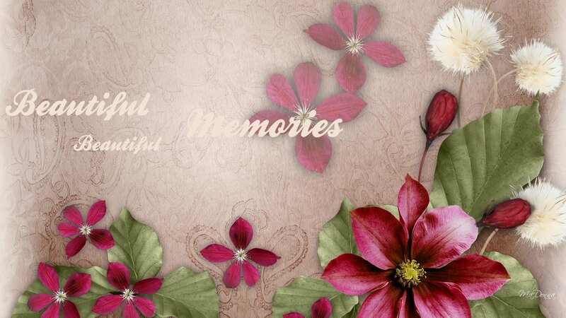 Clematis Flowers and Leaves