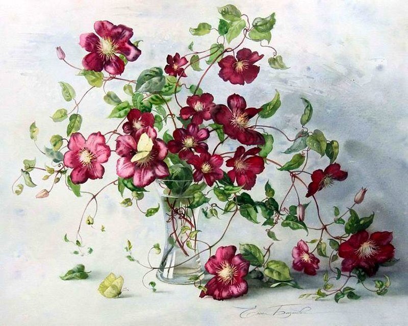 Clematis Flowers in Vase